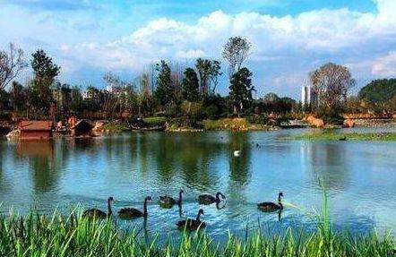 贵州花果园爆料案件最新,惊现惊人内幕，真相即将揭晓！